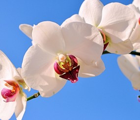 碑林正规助孕捐卵机构，附正规捐卵机构报名表！